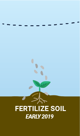 Fertilize Soil